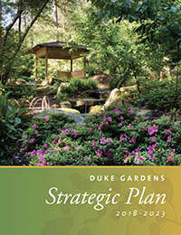 cover of Strategic Plan, showing image of a shelter in the Ruth Mary Meyer Japanese Garden